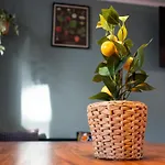 Wonderwall - - 5x Boxspringbed - Kitchen 아파트