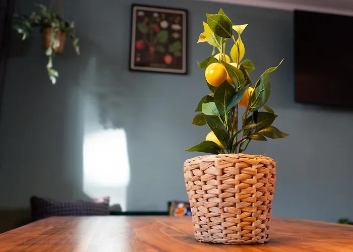 Wonderwall - - 5x Boxspringbed - Kitchen Apartment